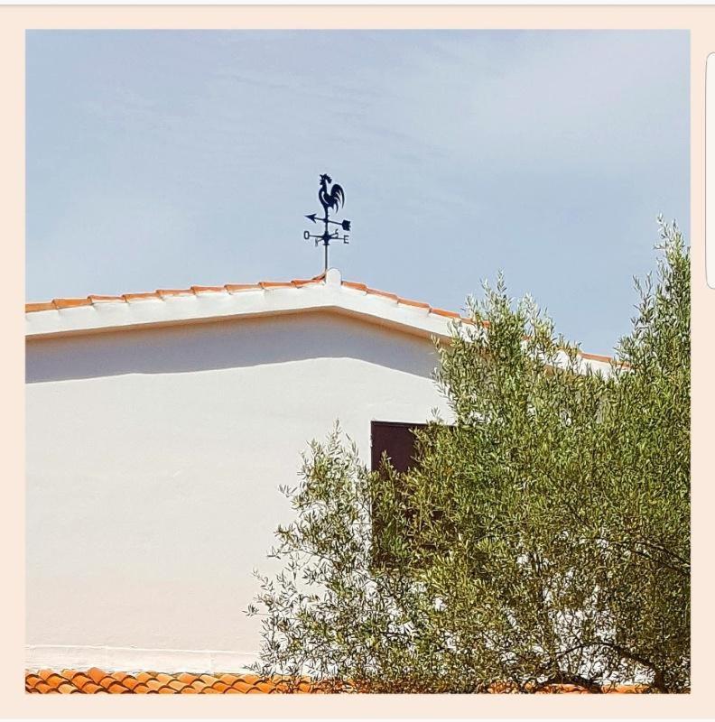 Villa La Rucchetta Alghero Extérieur photo