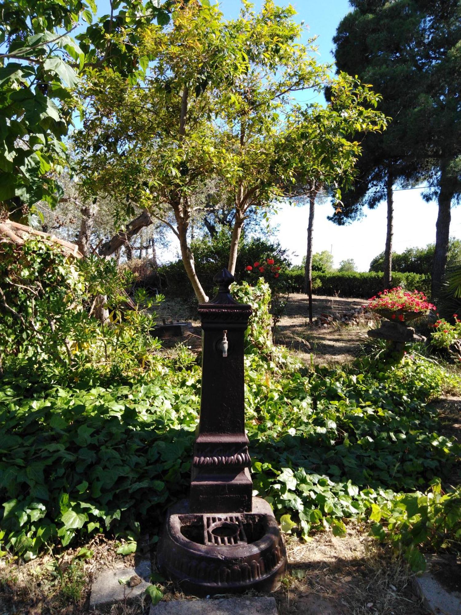 Villa La Rucchetta Alghero Extérieur photo